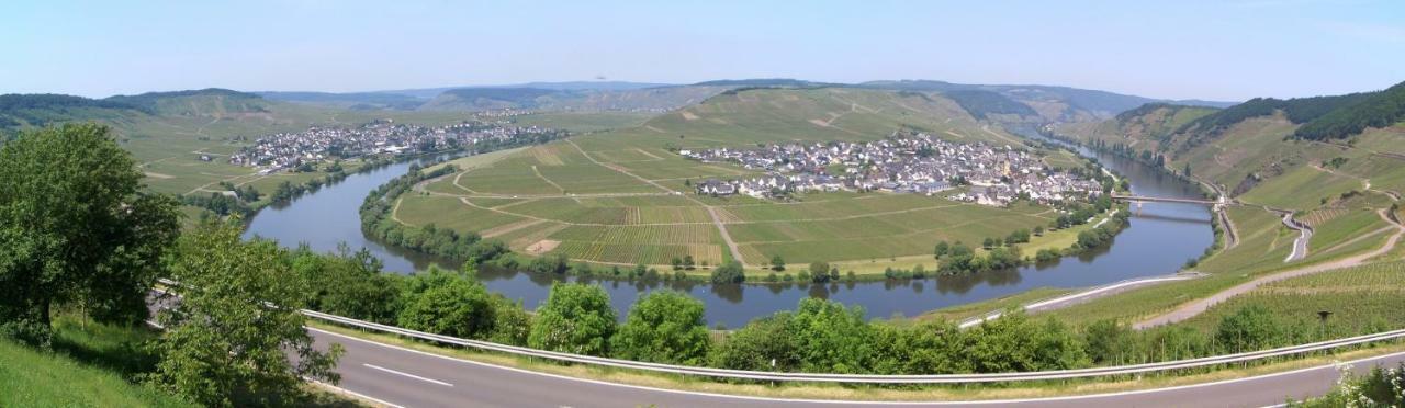 Galerie Riesling Hotel Trittenheim Luaran gambar